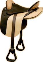 Sattel mit Seitenblatt - Paso