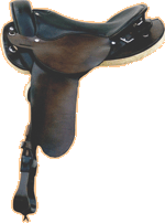 Wanderreitsattel Gangpferd